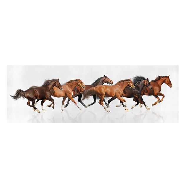 Cuadros decorativos modernos Horse Herd