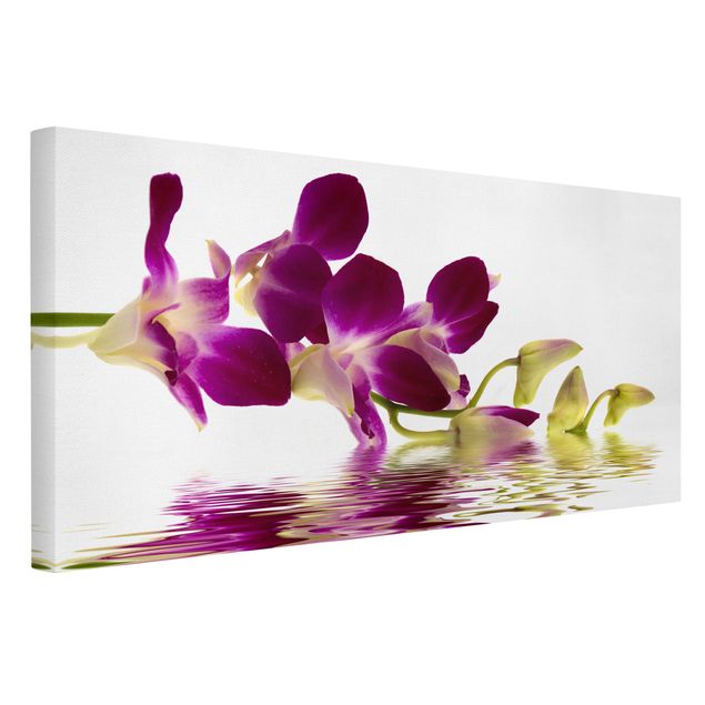 Cuadros en lienzo de flores Pink Orchid Waters