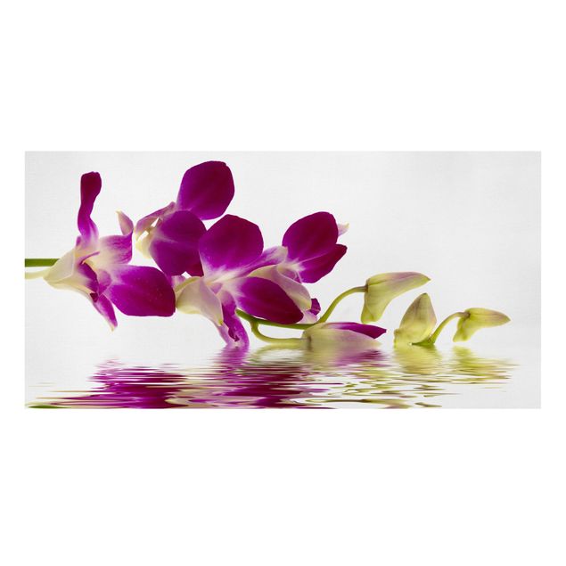 Cuadros de plantas naturales Pink Orchid Waters