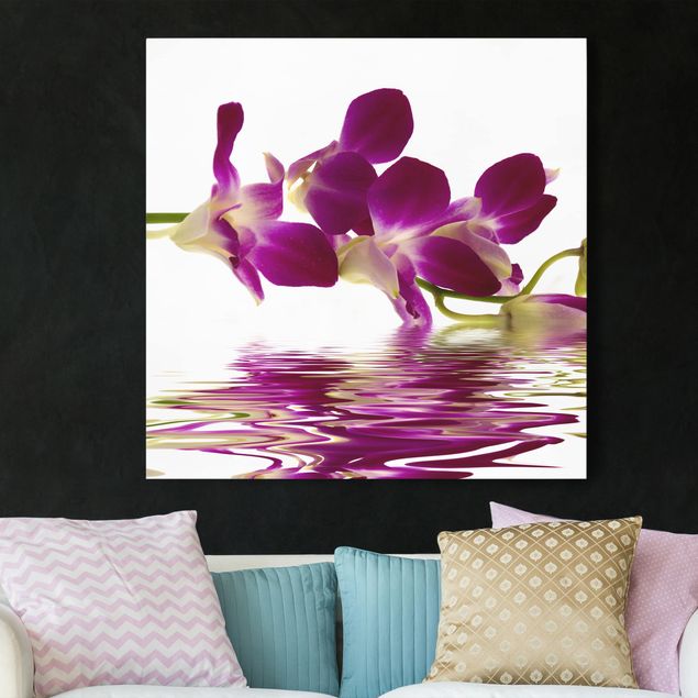 Cuadros con orquideas Pink Orchid Waters