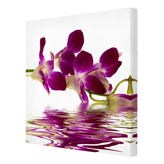 Cuadros flores Pink Orchid Waters