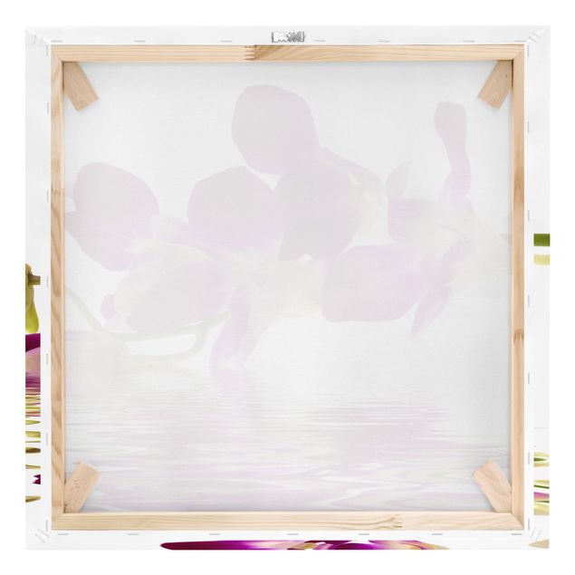 Cuadros decorativos Pink Orchid Waters