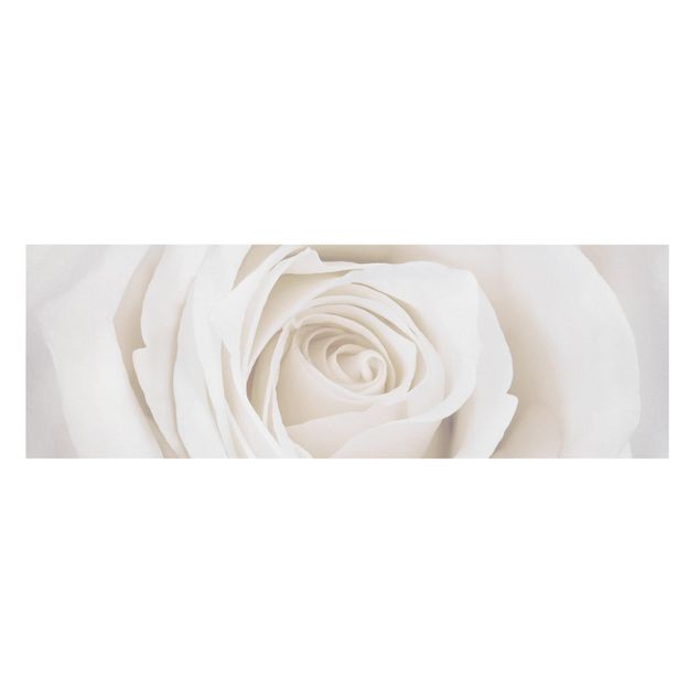 Cuadros de flores modernos Pretty White Rose