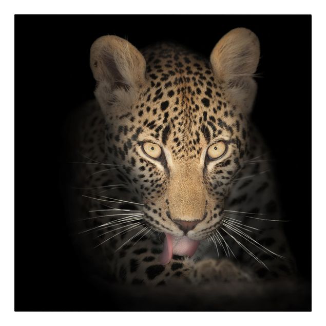 Cuadros de retratos Resting Leopard