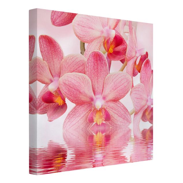 Lienzos flores Light Pink Orchid On Water
