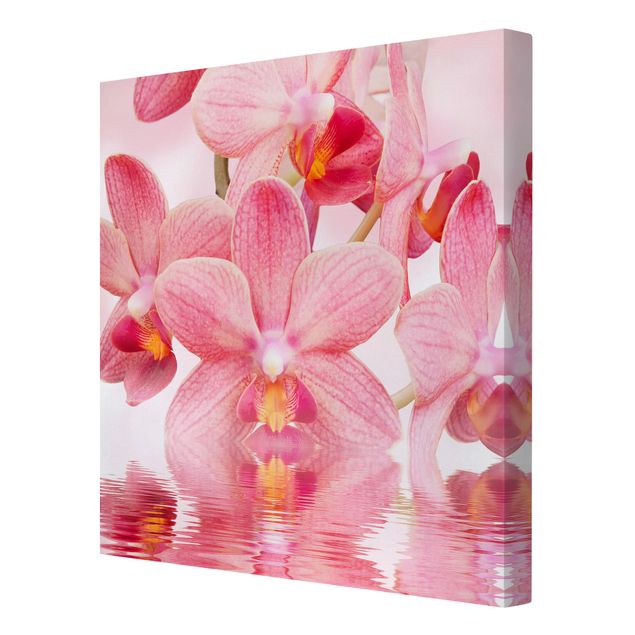Cuadros flores Light Pink Orchid On Water