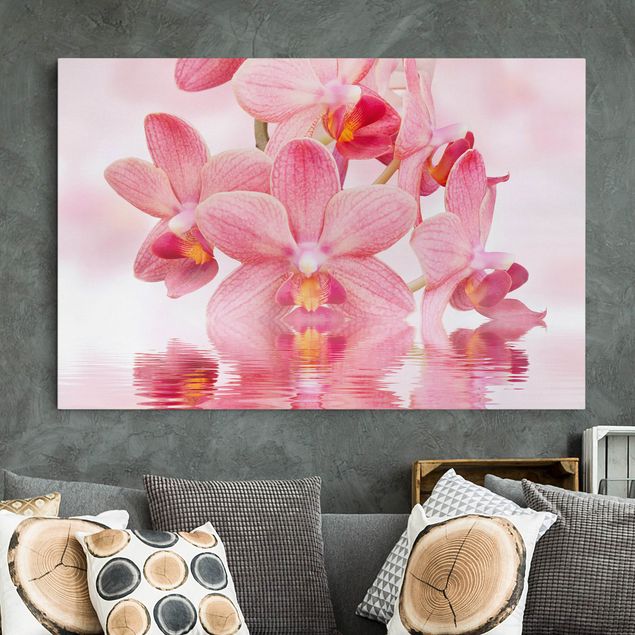 Cuadros con orquideas Light Pink Orchid On Water