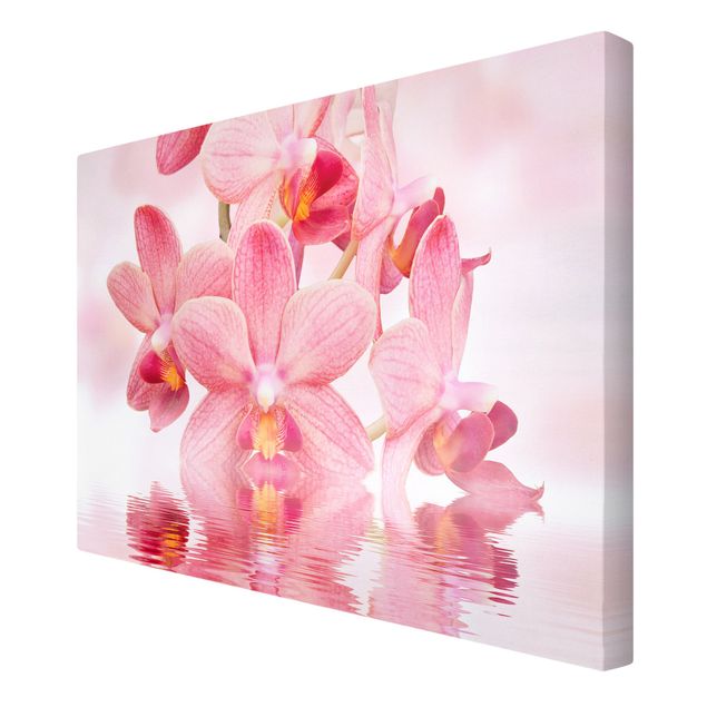 Cuadros flores Light Pink Orchid On Water