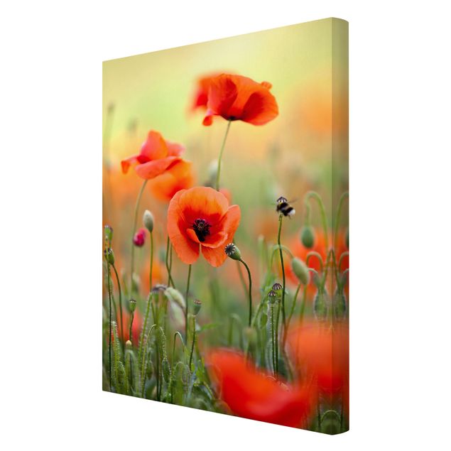 Cuadros flores Red Summer Poppy