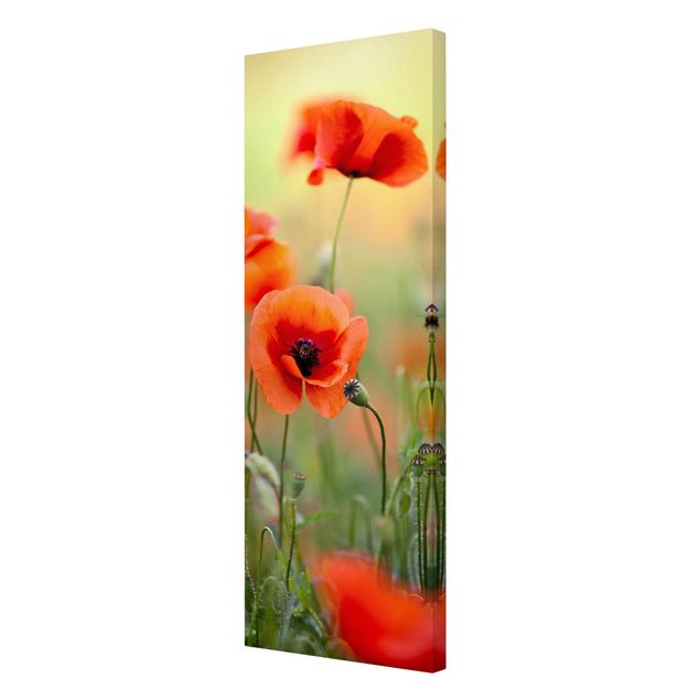 Cuadros flores Red Summer Poppy