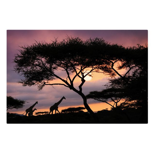 Lienzos de puesta de sol African Safari