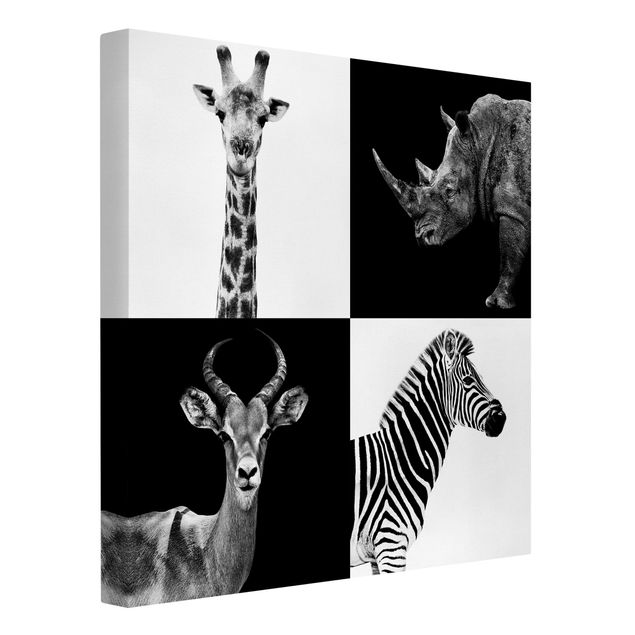 Lienzos en blanco y negro Safari Quartet
