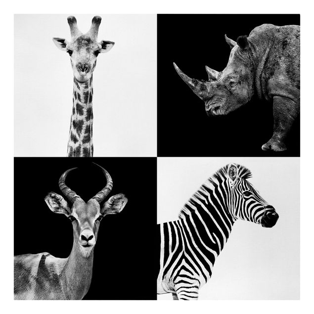 Lienzos de animales Safari Quartet