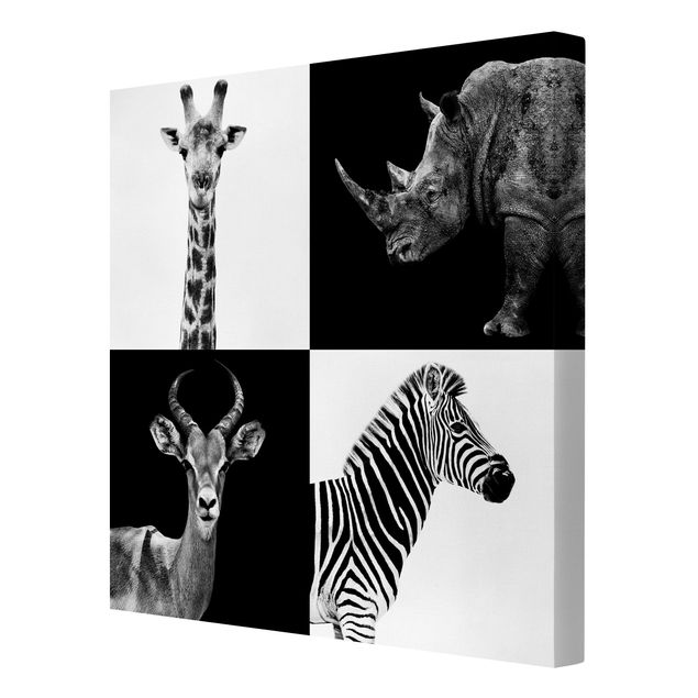 Cuadros decorativos modernos Safari Quartet