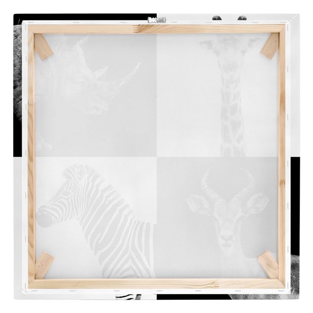 Cuadros en blanco y negro Safari Quartet