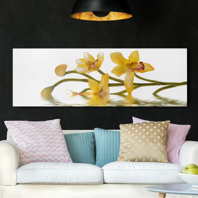 Cuadros con orquideas Saffron Orchid Waters