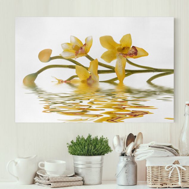 Cuadros de orquideas blancas Saffron Orchid Waters