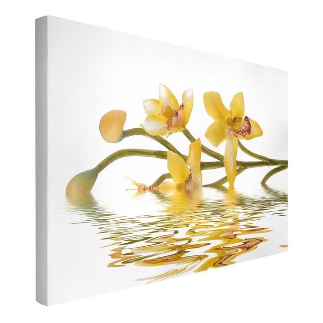Cuadros en lienzo de flores Saffron Orchid Waters