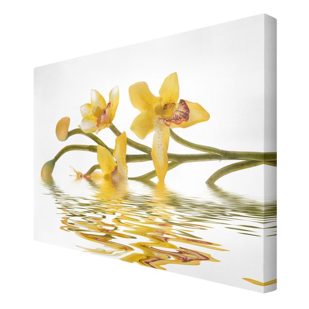 Cuadros de flores modernos Saffron Orchid Waters