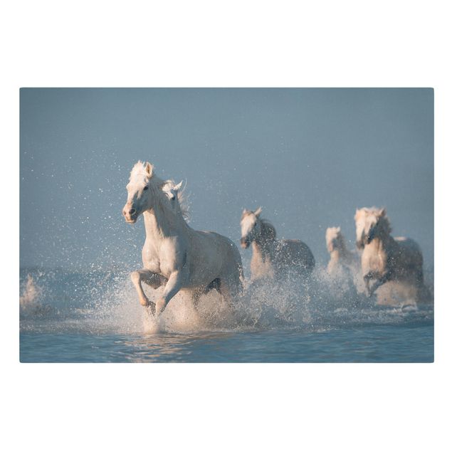 Cuadros modernos Herd Of White Horses