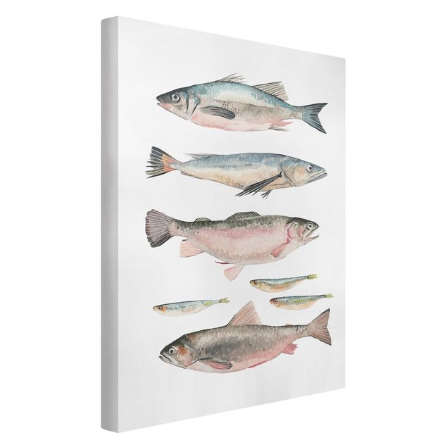 Lienzos animales Seven Fish In Watercolour I