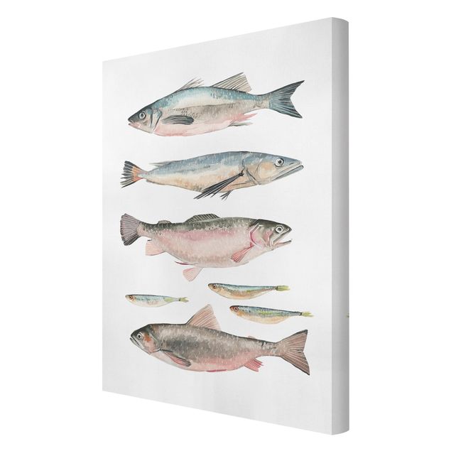 Cuadros de animales Seven Fish In Watercolour I