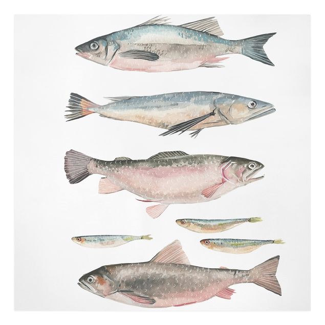 Cuadros modernos y elegantes Seven Fish In Watercolour I
