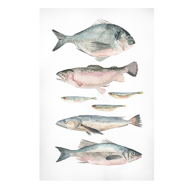Cuadros modernos y elegantes Seven Fish In Watercolour II