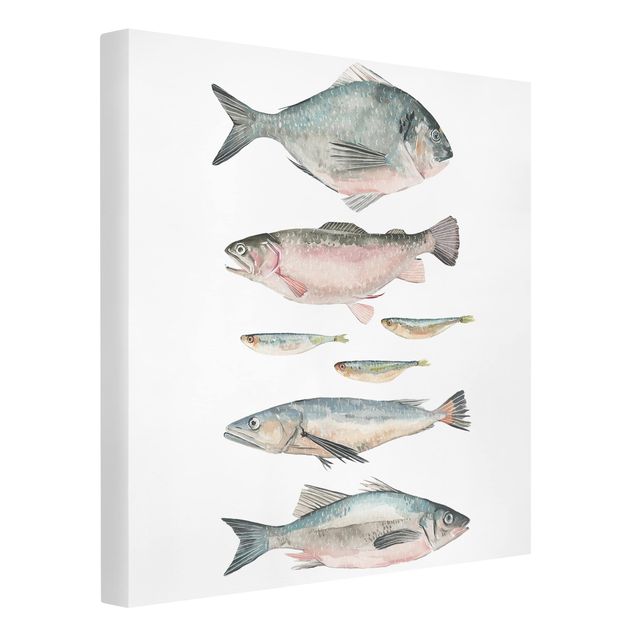 Lienzos animales Seven Fish In Watercolour II