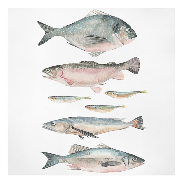 Cuadros modernos Seven Fish In Watercolour II