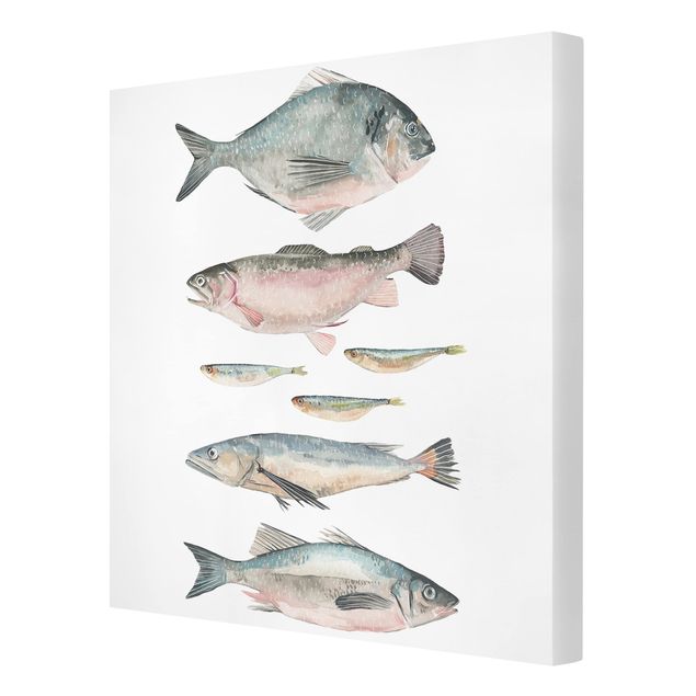 Cuadros de animales Seven Fish In Watercolour II