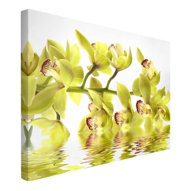 Cuadros en lienzo de flores Splendid Orchid Waters