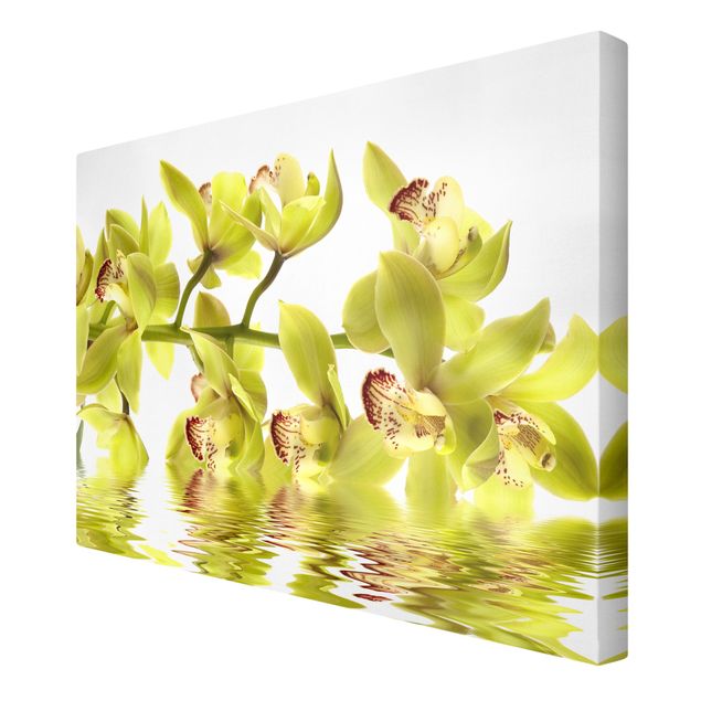Cuadros de flores modernos Splendid Orchid Waters