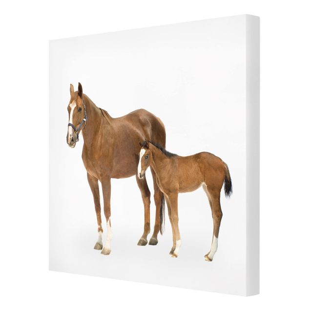 Cuadros infantiles animales Mare & Foal