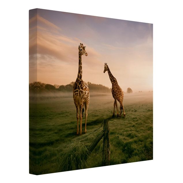 Cuadros de paisajes naturales  Surreal Giraffes
