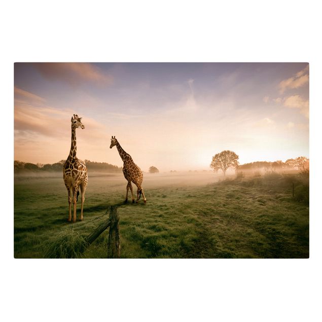 Lienzos paisajes Surreal Giraffes