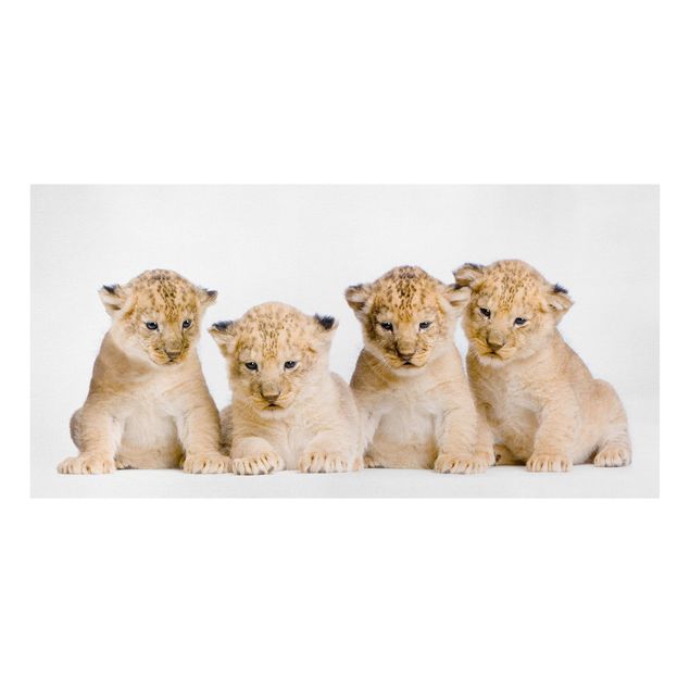 Lienzos de animales Sweet Lion Babys