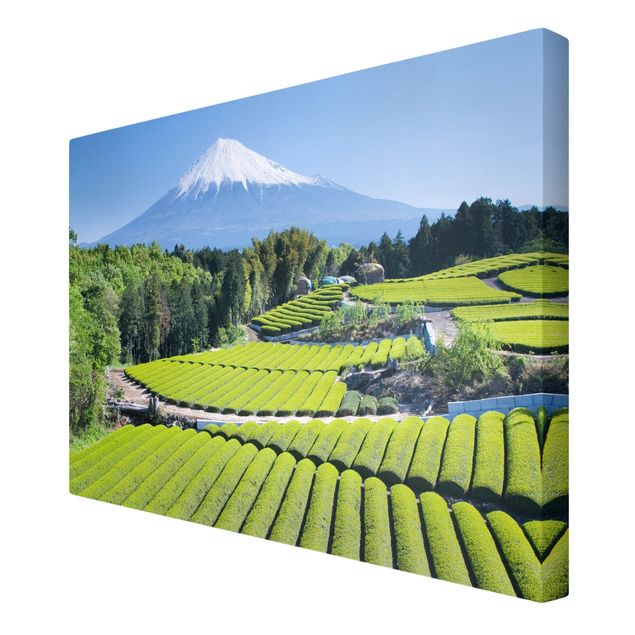 Lienzos ciudades del mundo Tea Fields In Front Of The Fuji