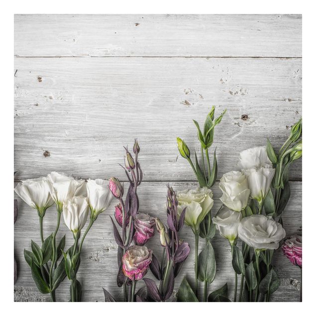 Cuadros de flores Tulip Rose Shabby Wood Look