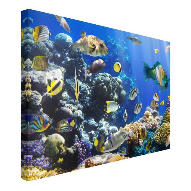 Cuadros paisajes Underwater Reef
