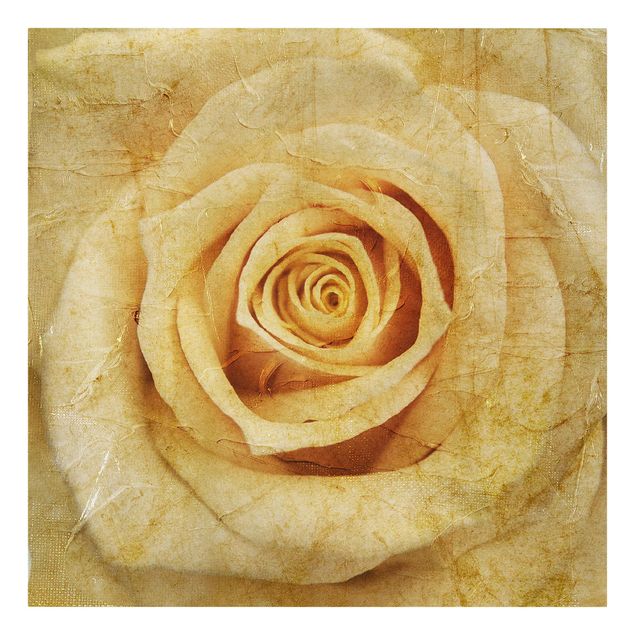 Cuadros de flores Vintage Rose