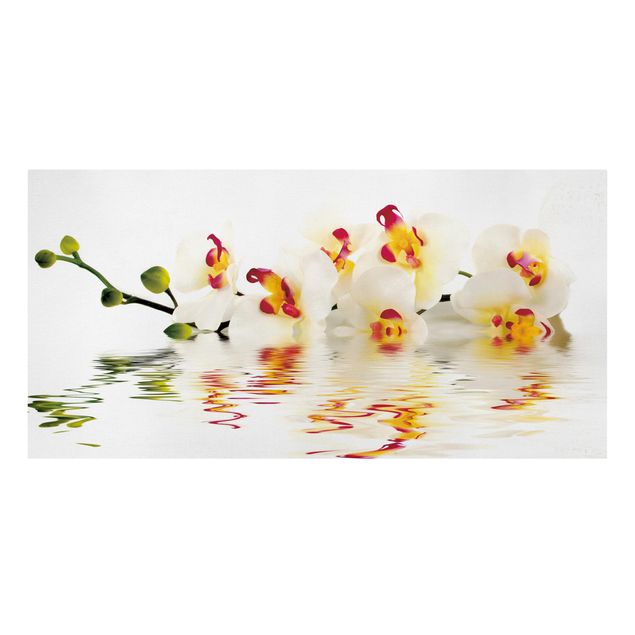 Cuadros plantas Vivid Orchid Waters