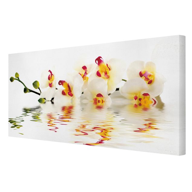 Cuadros de flores Vivid Orchid Waters