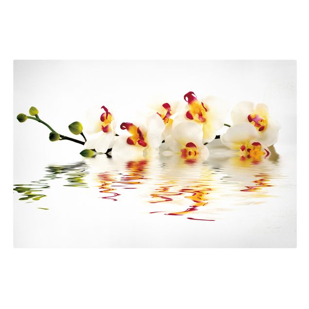 Lienzos de flores Vivid Orchid Waters