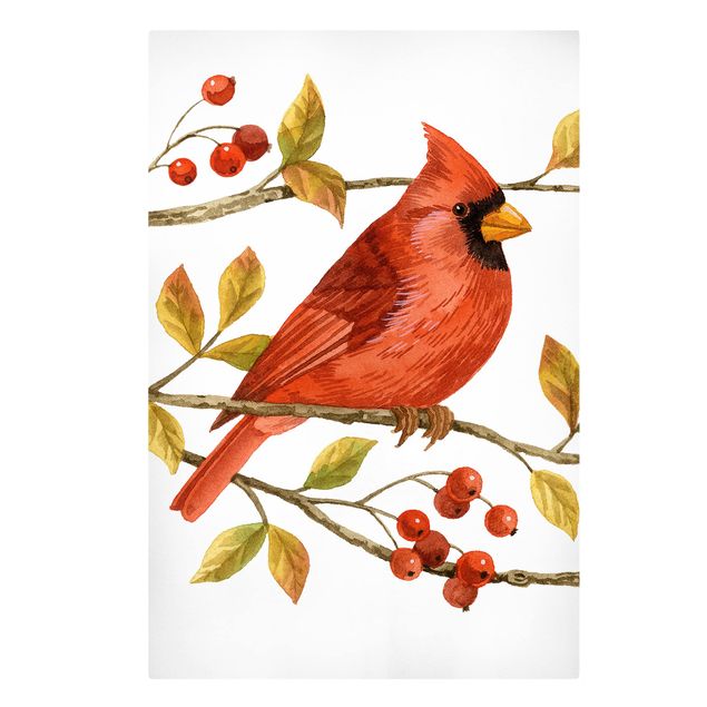 Cuadros decorativos modernos Birds And Berries - Northern Cardinal