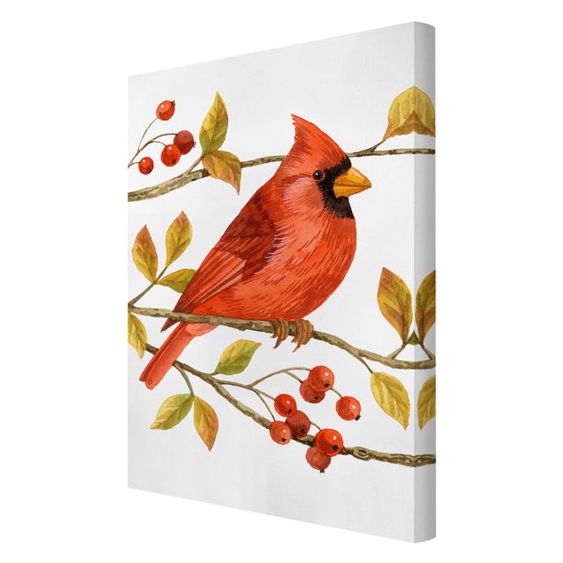 Cuadros decorativos Birds And Berries - Northern Cardinal