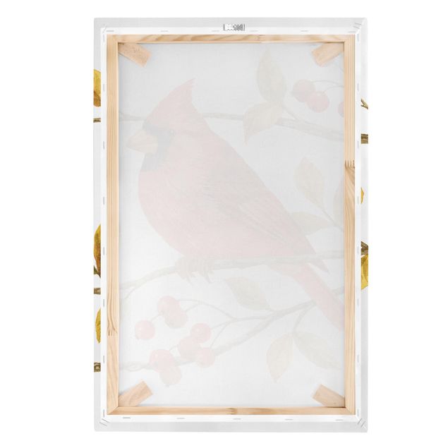 Cuadros en lienzo Birds And Berries - Northern Cardinal