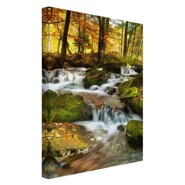 Cuadro con paisajes Waterfall Autumnal Forest