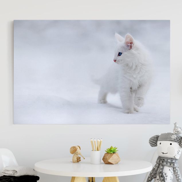 Lienzo gato White as Snow