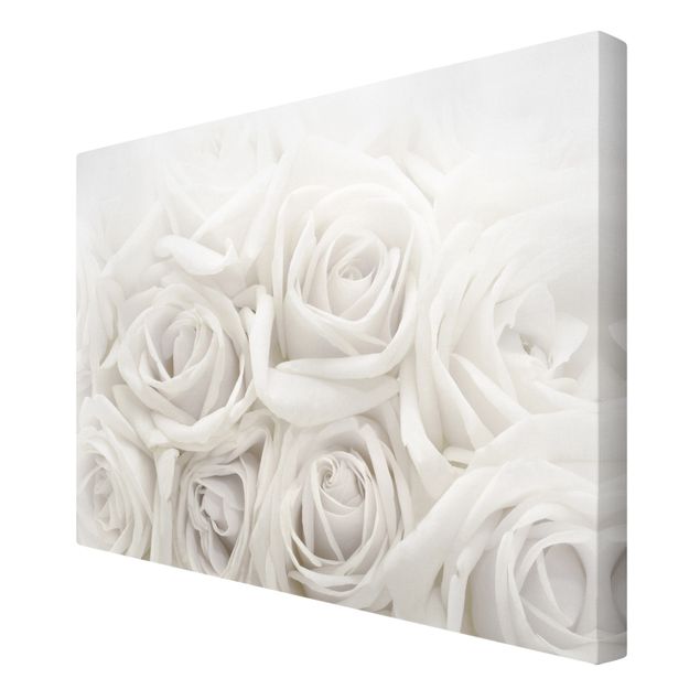 Cuadros White Roses